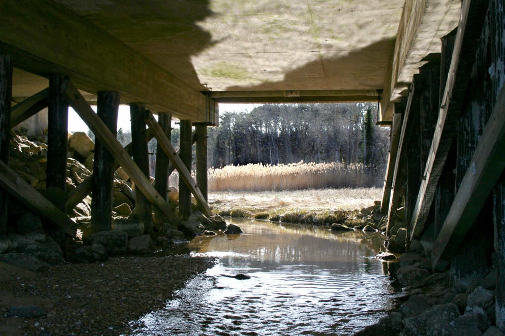 Under the Bridge  by lauriehiggins