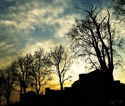 31st Mar 2012 - Mazzorbo sunset