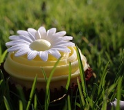 3rd Apr 2012 - Daisy cake