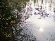 1st Apr 2012 - Reflections