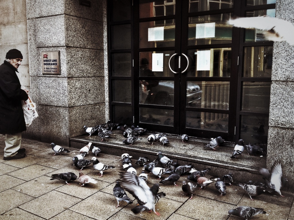 The Pigeon Fancier by rich57