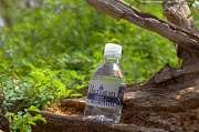 4th Apr 2012 - Benson Museum Water Bottle