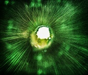 3rd Apr 2012 -  Laser vortex