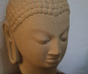 5th Apr 2012 - Buddha Portrait