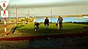 5th Apr 2012 - Evening harbour walk