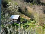 2nd Apr 2012 - Bunny Hut