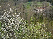 3rd Apr 2012 - Outside The Village