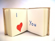 3rd Apr 2012 - book of love (vault picture)
