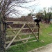 Gate Guard by bulldog