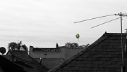 3rd Apr 2012 - (Day 50) - Is that a lone balloon up there...(long pause)...Si!