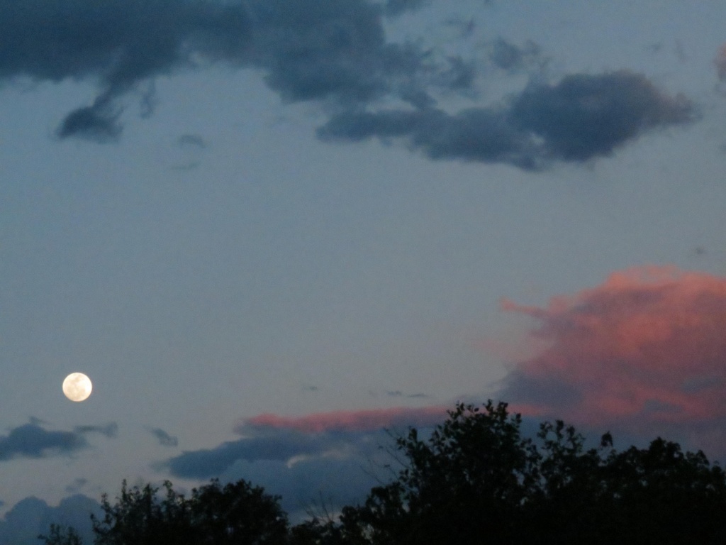 Pastel Moon by grammyn