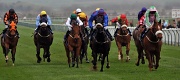 2nd Apr 2012 - Redcar Races
