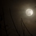 Moon with a haze by kiwichick