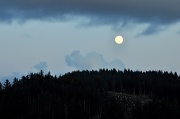 4th Apr 2012 - Rising Moon