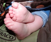 5th Apr 2012 - Little Feet