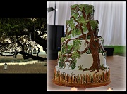 6th Apr 2012 - Low Country Wedding Cake