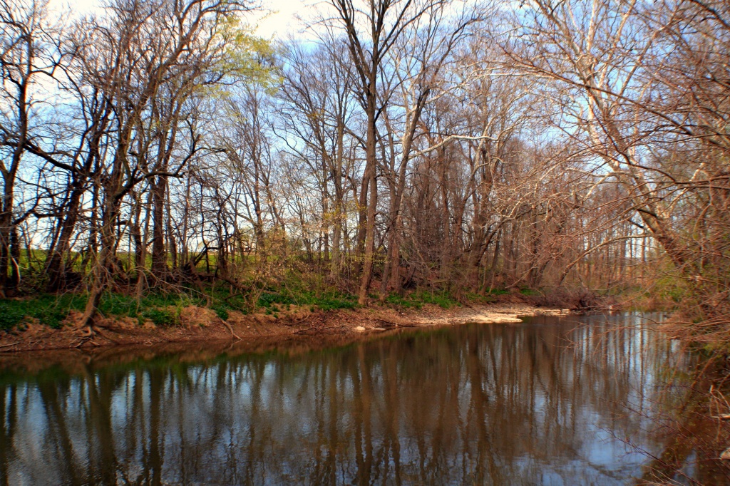 Country Stream by digitalrn