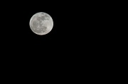 6th Apr 2012 - Full moon madness