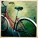 My new bike by nicolecampbell