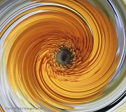 7th Apr 2012 - Floral Spin-Abstract