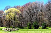 6th Apr 2012 - Whispering Pines Community Park