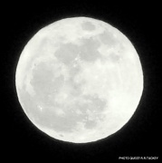 7th Apr 2012 - moon shot