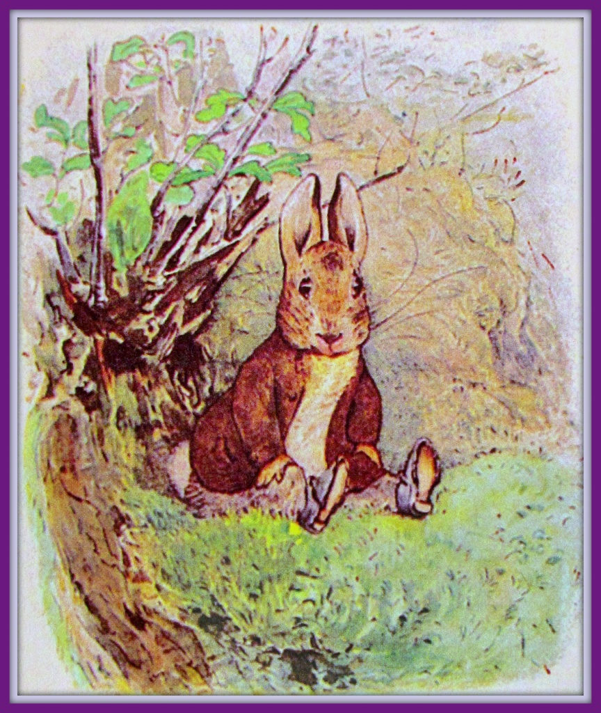 Benjamin Bunny, by Beatrix Potter by glimpses