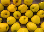 8th Apr 2012 - Assortment of Apples at Wal-mart 4.8.12