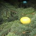 Egg hunt by mrsbubbles