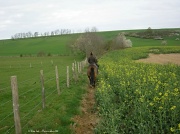 8th Apr 2012 - Spring ride #2