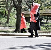 9th Apr 2012 - Elmo Being Carried Through Central Park
