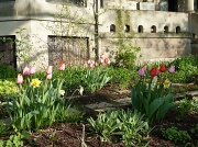 3rd Apr 2012 - Spring in Chicago
