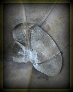 10th Apr 2012 - Droplet