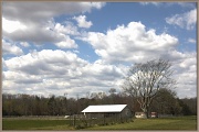 9th Apr 2012 - Horse Farm Richland