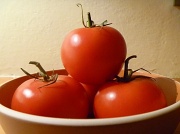 10th Apr 2012 - Tomatoes in a bowl