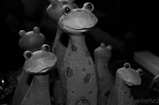 10th Apr 2012 - 3 frogs