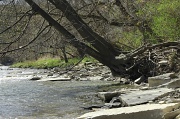 10th Apr 2012 - The Humber River