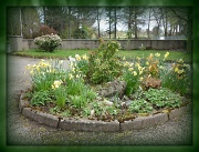 11th Apr 2012 - spring circle