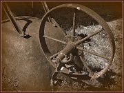 10th Apr 2012 - Old Wheelbarrow