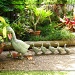 Ducks in th garden by loey5150