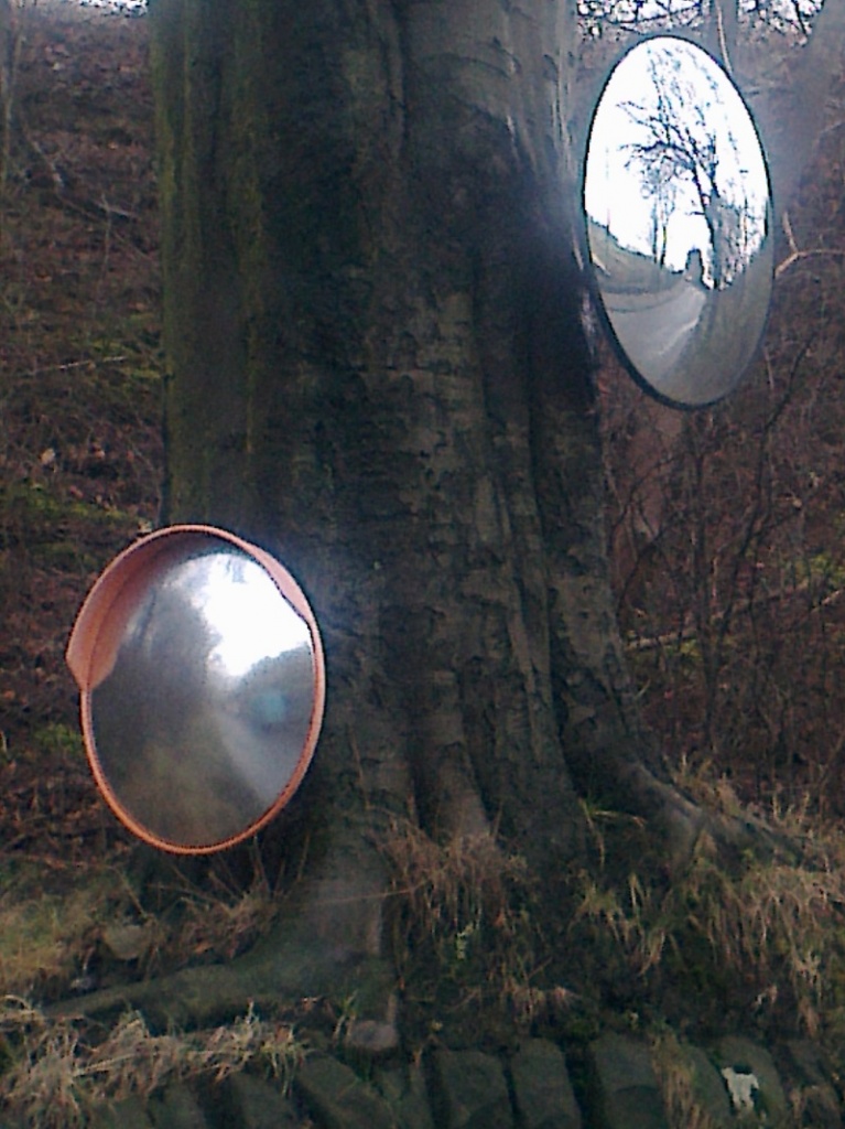 Mirrors on a tree by denidouble