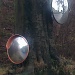 Mirrors on a tree by denidouble