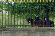 12th Apr 2012 - Mounted police in the Tuileries garden