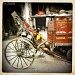 Rickshaw Walla by andycoleborn