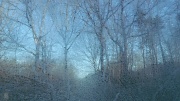 13th Apr 2012 - Frosty Morning