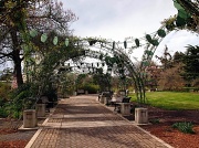 13th Apr 2012 - Arches in the Rose Garden Before the Roses Bloom
