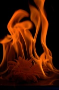 13th Apr 2012 - Hot Flashes