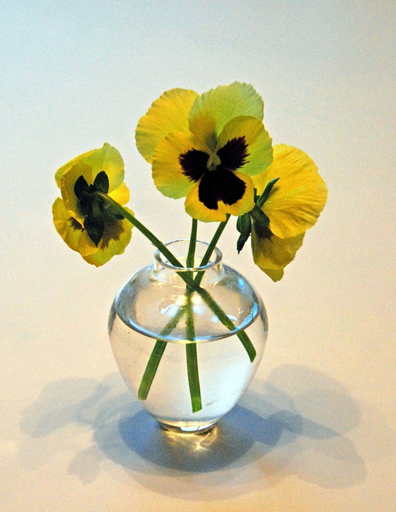 Vase with Three Pansies (Take 2) by dakotakid35