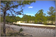 13th Apr 2012 - Richland Pine Barrens