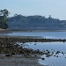 Foreshore by wenbow